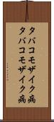 タバコモザイク病 Scroll