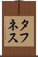タフネス Scroll