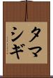 タマシギ Scroll