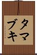 タマブキ Scroll