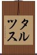 タルツス Scroll