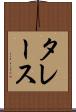 タレース Scroll