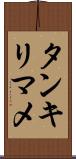 タンキリマメ Scroll