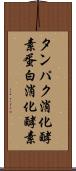 タンパク消化酵素 Scroll