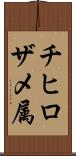 チヒロザメ属 Scroll