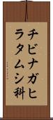 チビナガヒラタムシ科 Scroll