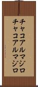 チャコアルマジロ Scroll