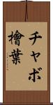 チャボ檜葉 Scroll