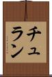 チュラン Scroll