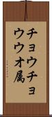 チョウチョウウオ属 Scroll