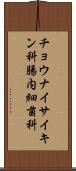 チョウナイサイキン科 Scroll