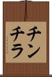 チンチラ Scroll