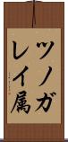 ツノガレイ属 Scroll