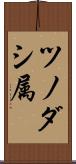 ツノダシ属 Scroll