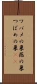 ツバメの巣 Scroll