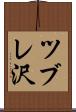 ツブレ沢 Scroll