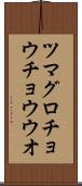 ツマグロチョウチョウウオ Scroll