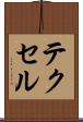テクセル Scroll