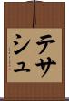 テサシュ Scroll