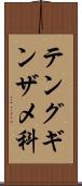 テングギンザメ科 Scroll