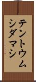 テントウムシダマシ Scroll