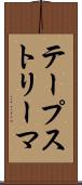 テープストリーマ Scroll