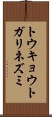 トウキョウトガリネズミ Scroll
