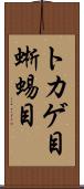 トカゲ目 Scroll