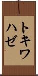 トキワハゼ Scroll