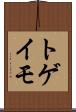 トゲイモ Scroll