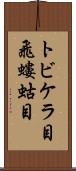 トビケラ目 Scroll