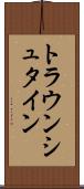 トラウンシュタイン Scroll