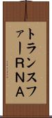 トランスファーＲＮＡ Scroll