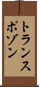 トランスポゾン Scroll