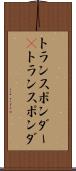 トランスポンダー(P) Scroll