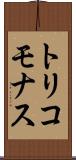 トリコモナス Scroll