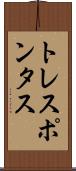 トレスポンタス Scroll
