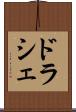 ドラシェ Scroll