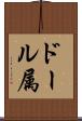 ドール属 Scroll