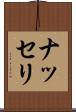 ナッセリ Scroll