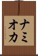 ナミオカ Scroll