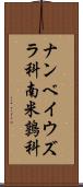 ナンベイウズラ科 Scroll
