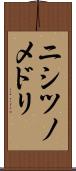 ニシツノメドリ Scroll