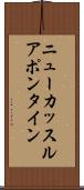 ニューカッスルアポンタイン Scroll