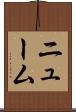 ニューム Scroll