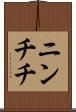 ニンチチ Scroll