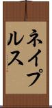 ネイプルス Scroll