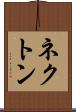 ネクトン Scroll