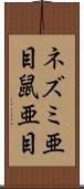 ネズミ亜目 Scroll