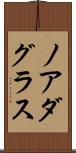 Noah Douglas Scroll